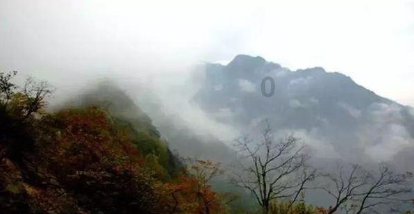 僵尸猎人赏金大赛