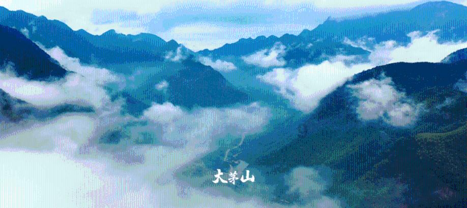 月光影视