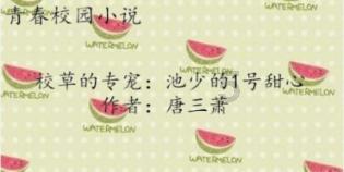 枪火游侠